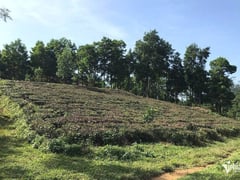 Ảnh bìa bài viết 1000141