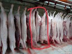 Ảnh bìa bài viết 1000322
