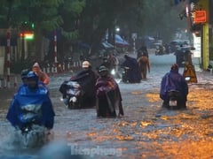 Ảnh bìa bài viết 1000326