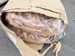 Ảnh bìa bài viết 1000414