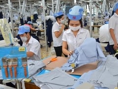 Ảnh bìa bài viết 1000454