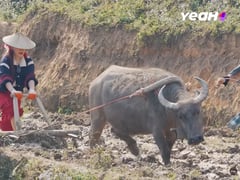 Ảnh bìa bài viết 1000580