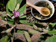 Ảnh bìa bài viết 1000609