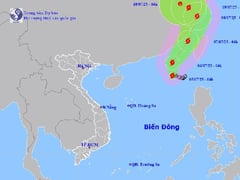 Ảnh bìa bài viết 1000665