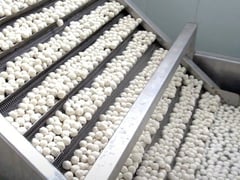 Ảnh bìa bài viết 1000688