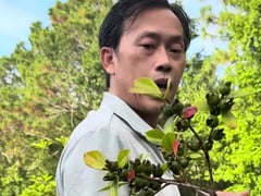 Ảnh bìa bài viết 1000926