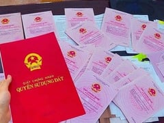 Ảnh bìa bài viết 1000994