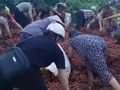 Ảnh bìa bài viết 1001063