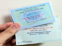 Ảnh bìa bài viết 1001110