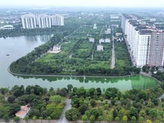 Ảnh bìa bài viết 1001160