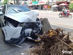 Ảnh bìa bài viết 1001253