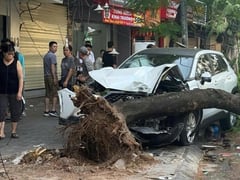 Ảnh bìa bài viết 1001269