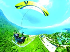 Ảnh bìa bài viết 1001335