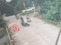 Ảnh bìa bài viết 1001591