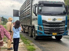 Ảnh bìa bài viết 1002008
