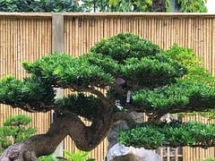 Ảnh bìa bài viết 1002211