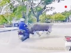 Ảnh bìa bài viết 1002328