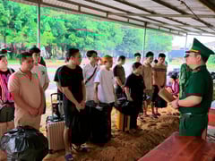 Ảnh bìa bài viết 1002399