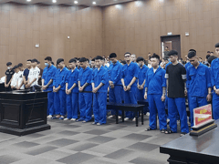 Ảnh bìa bài viết 1002447