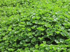 Ảnh bìa bài viết 1002471