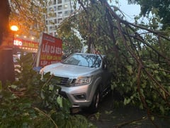 Ảnh bìa bài viết 1002753