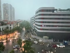Ảnh bìa bài viết 1002756