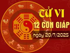 Ảnh bìa bài viết 1002768