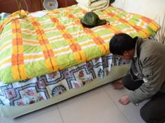 Ảnh bìa bài viết 1002800