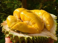 Ảnh bìa bài viết 1002858
