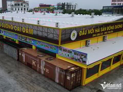 Ảnh bìa bài viết 1003034