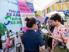 Ảnh bìa bài viết 1003036