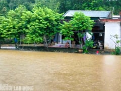 Ảnh bìa bài viết 1003197