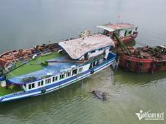 Ảnh bìa bài viết 1003222