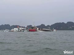 Ảnh bìa bài viết 1003232