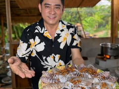 Ảnh bìa bài viết 1003387