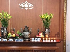 Ảnh bìa bài viết 1003524