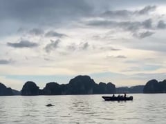 Ảnh bìa bài viết 1003593