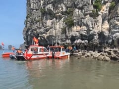 Ảnh bìa bài viết 1003854
