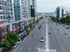 Ảnh bìa bài viết 1003981