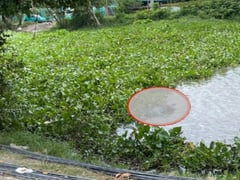 Ảnh bìa bài viết 1004324