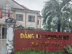 Ảnh bìa bài viết 1004347