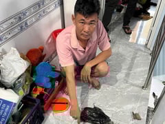 Ảnh bìa bài viết 1004484