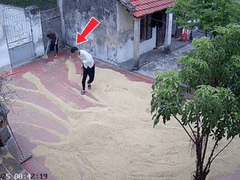 Ảnh bìa bài viết 1004500