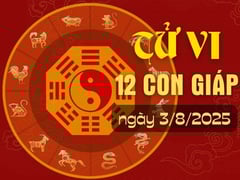 Đọc nhanh bài viết 1004659