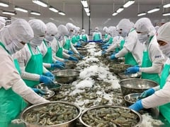 Đọc nhanh bài viết 1004762