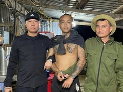 Đọc nhanh bài viết 1004928