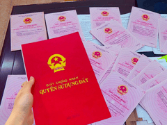 Đọc nhanh bài viết 1005019