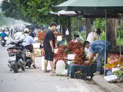 Đọc nhanh bài viết 1005027