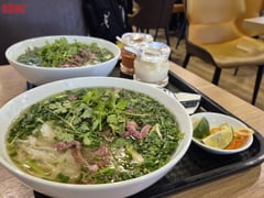 Đọc nhanh bài viết 1005044