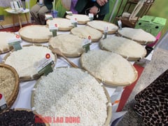 Đọc nhanh bài viết 1005228